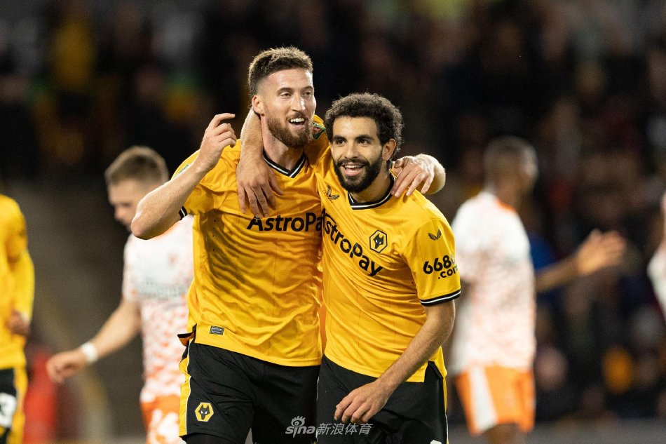 这可以归因 这可以归因